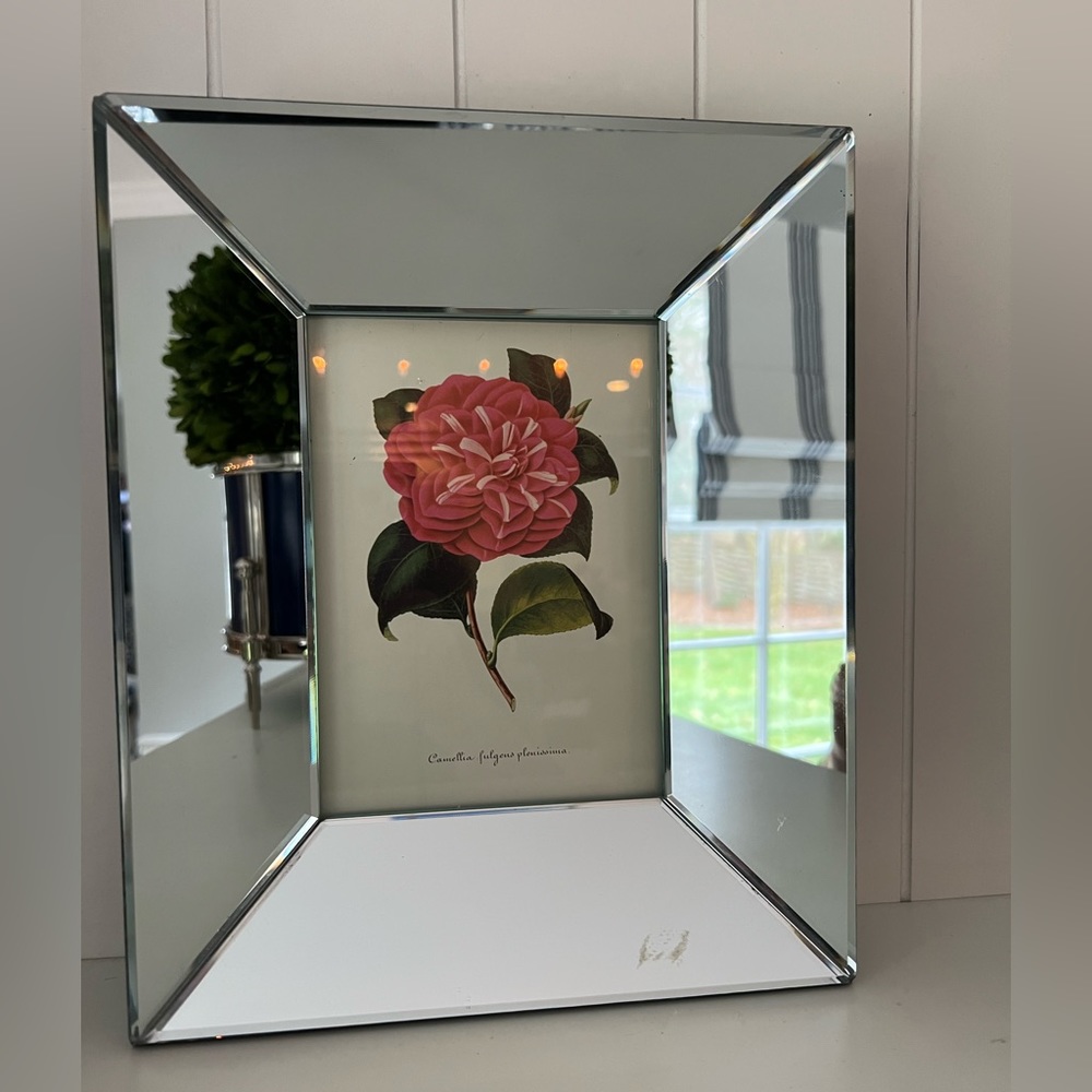New, Anthropologie frameless mirrored picture frame.  Hangable.